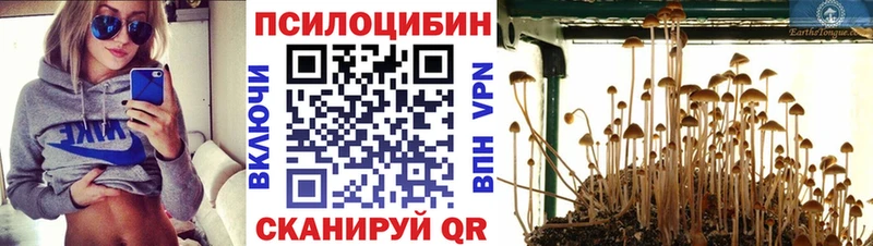 Галлюциногенные грибы Psilocybe  наркота  Орёл 