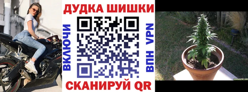 мега ссылка  Орёл  Марихуана THC 21%  где купить наркотик 